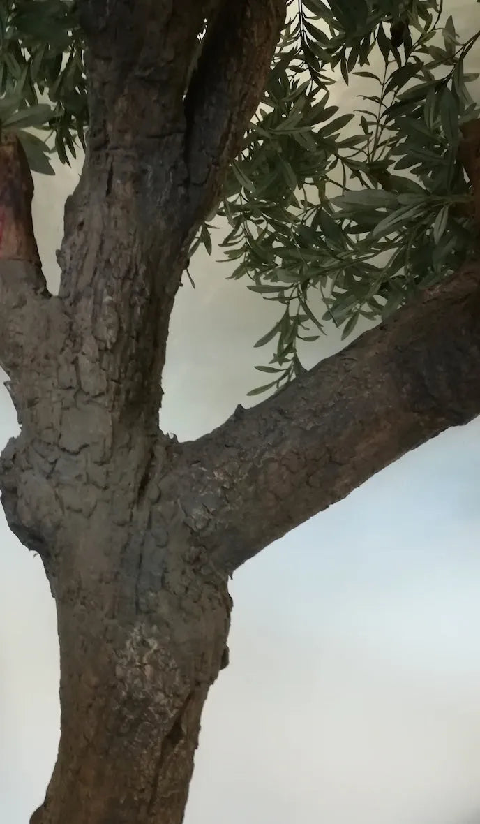 Künstlicher Olivenbaum - Ilias, 270 cm, Kunstbaum von aplanta, in Natur, für drinnen