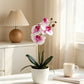 Künstliche Orchidee - Dan  | 36 cm