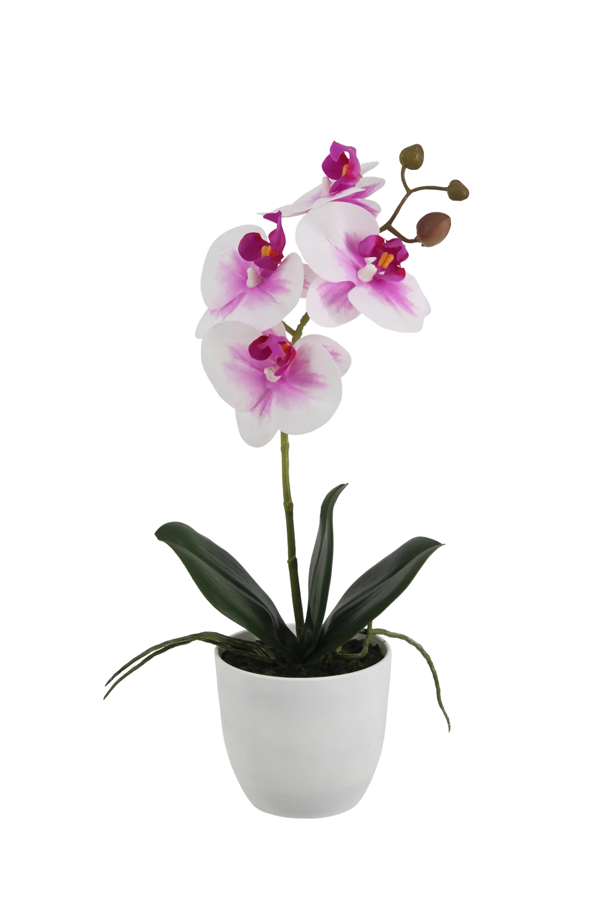 Künstliche Orchidee - Dan, 35 cm, Kunstblume von aplanta, inkl. Dekotopf, Real Touch, in Pink, für drinnen