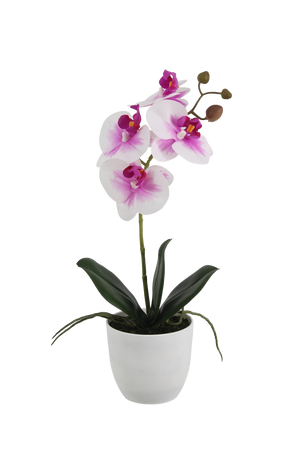 Künstliche Orchidee - Dan, 35 cm, Kunstblume von aplanta, inkl. Dekotopf, Real Touch, in Pink, für drinnen