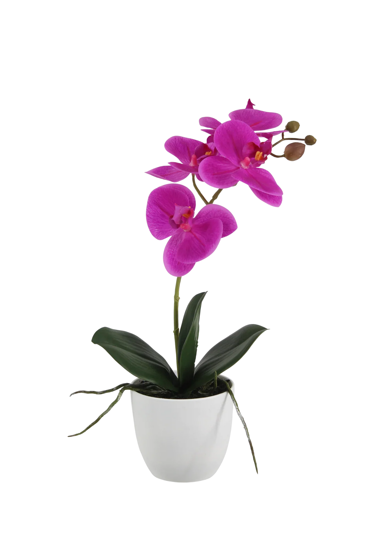 Künstliche Orchidee - Juan, 35 cm, Kunstblume von aplanta, inkl. Dekotopf, Real Touch, in Lila, für drinnen