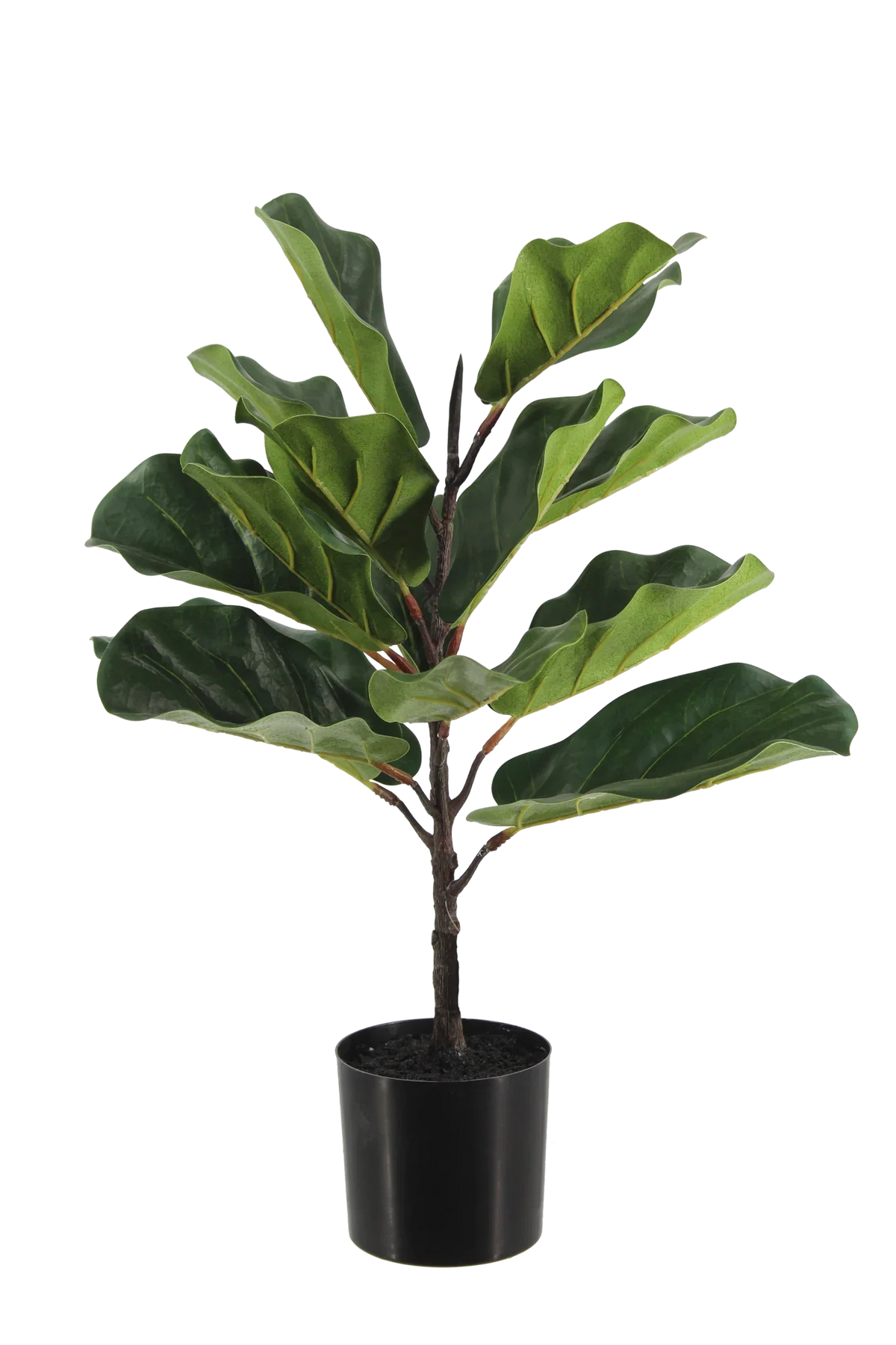 Künstlicher Ficus Lyrata - Luan, 60 cm, Kunstbaum von aplanta, in Grün, für drinnen