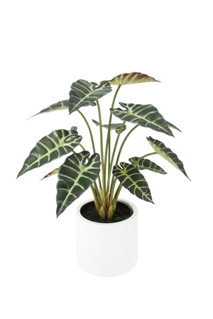 Künstliche Alocasia - Tamika, 68 cm, Kunstpflanze von aplanta, inkl. Dekotopf, in Grün, für drinnen