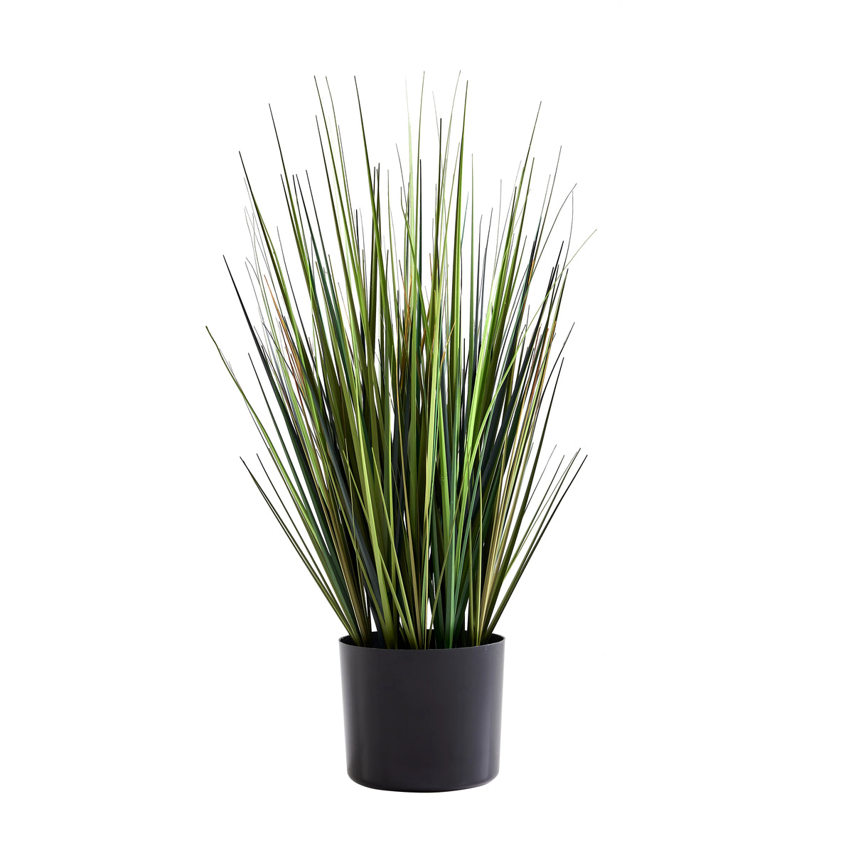 Künstliches Gras - Selwyn, 60 cm, Kunstpflanze von aplanta, in Grün, für drinnen