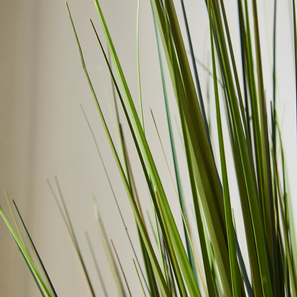 Künstliches Gras - Selwyn, 60 cm, Kunstpflanze von aplanta, in Grün, für drinnen