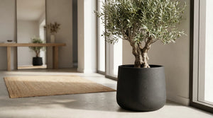 Pflanztopf Kiesel schwarz | 34X29