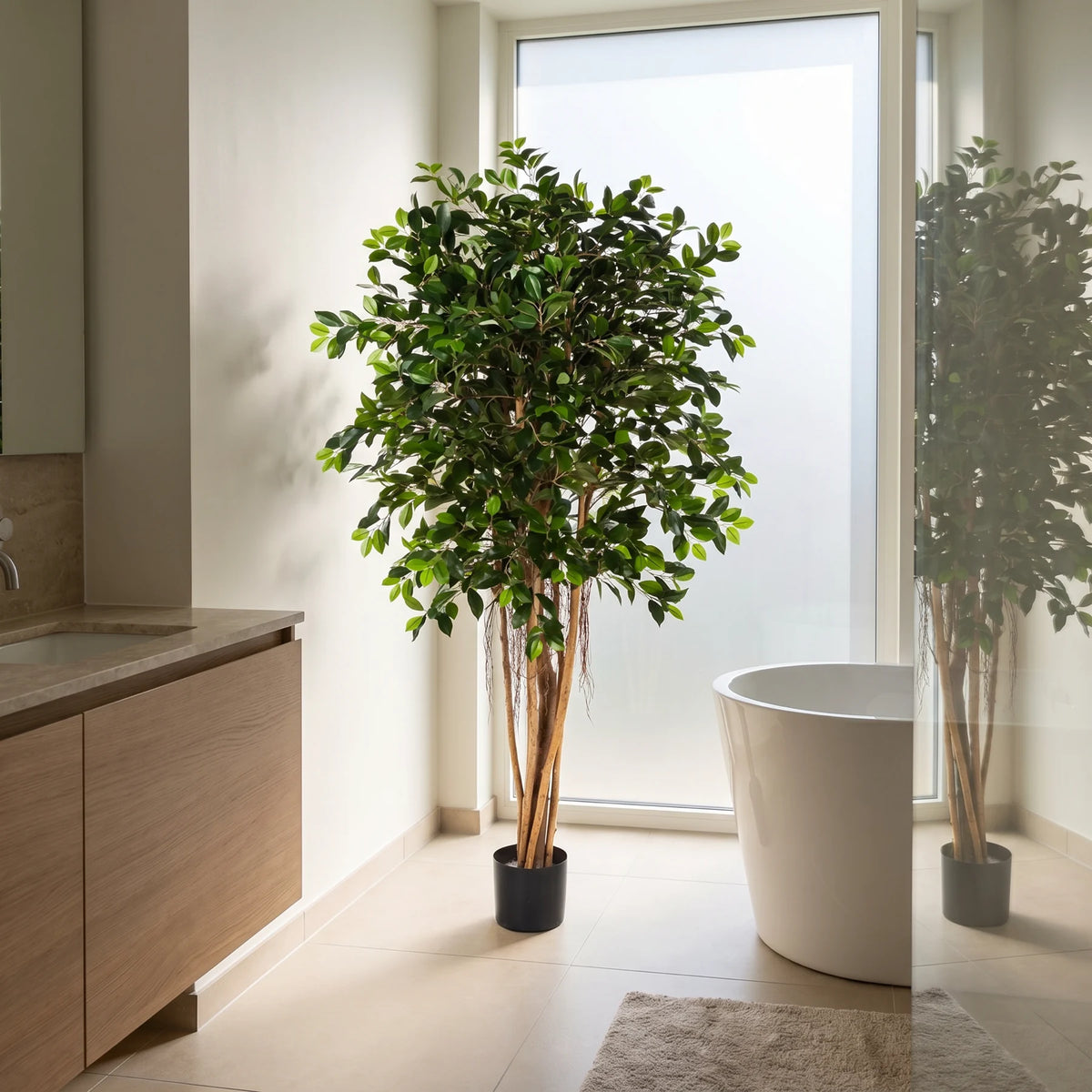 Künstlicher Ficus Retusa - Caelior, 180 cm, Kunstbaum von aplanta, mit Echtholzstamm, inkl. Startertopf, in Grün, für drinnen