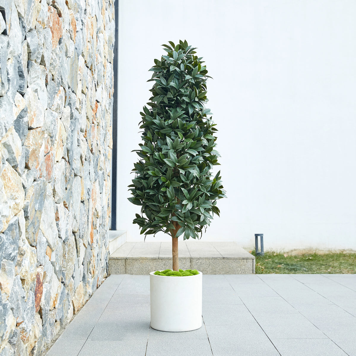 Künstlicher Lorbeerbaum - Alarion, 150 cm, Kunstbaum von aplanta, mit Echtholzstamm, UV-beständig, inkl. Startertopf, in Grün