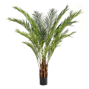 Künstliche Kentia-Palme - Caliora, 210 cm, Kunstbaum von aplanta, inkl. Startertopf, in Grün, für drinnen