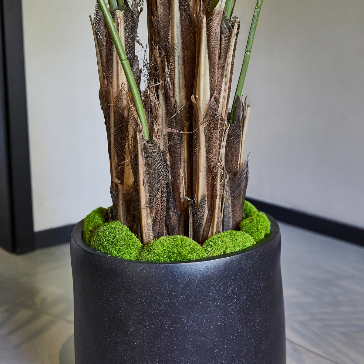 Künstliche Kentia-Palme - Caliora, 210 cm, Kunstbaum von aplanta, inkl. Startertopf, in Grün, für drinnen