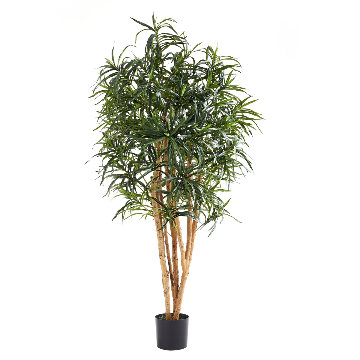 Künstliche Dracaena Reflexa - Maelis, 180 cm, Kunstbaum von aplanta, mit Echtholzstamm, inkl. Startertopf, in Grün