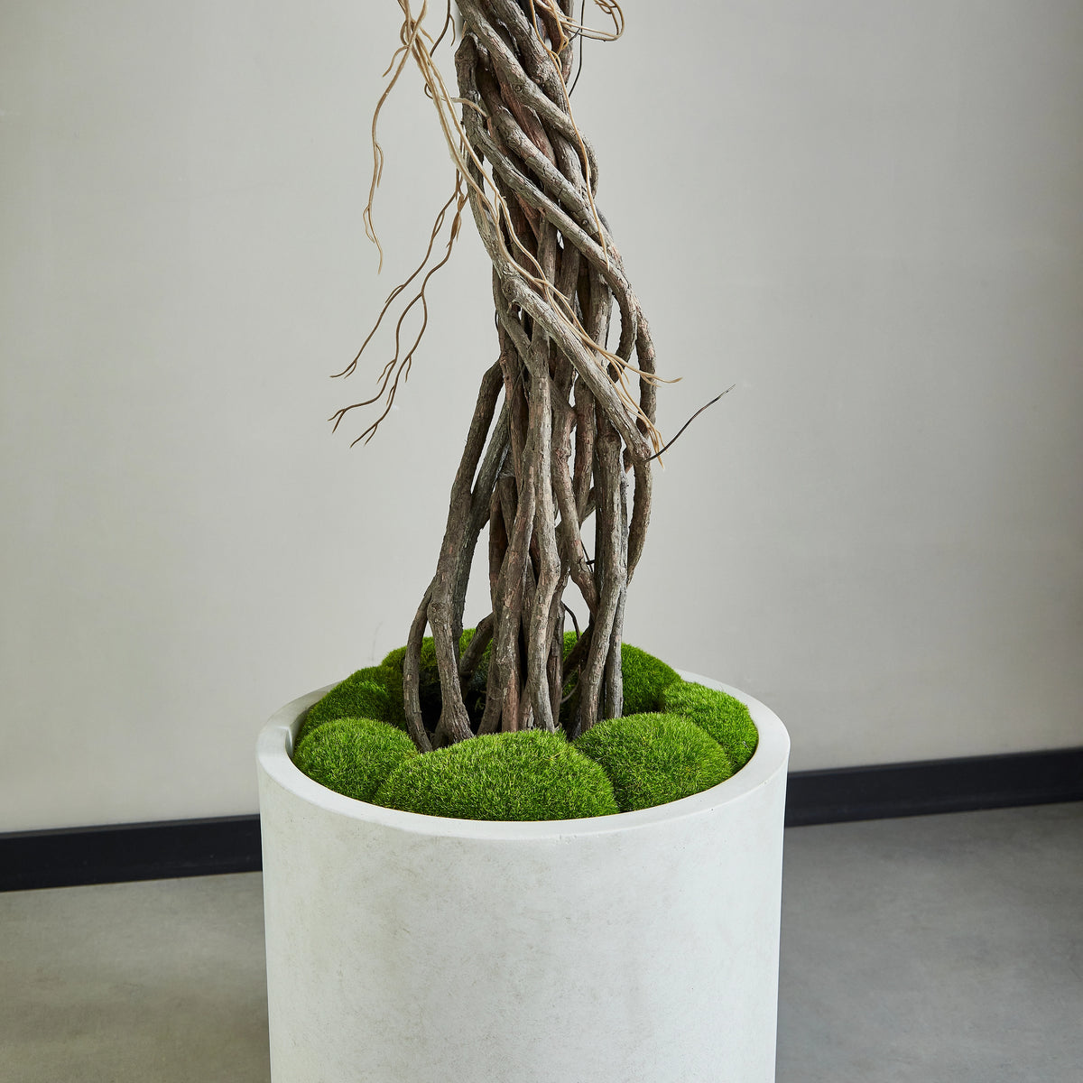 Künstlicher Ficus - Seraphius, 180 cm, Kunstbaum von aplanta, mit Echtholzstamm, inkl. Startertopf, in Grün, für drinnen