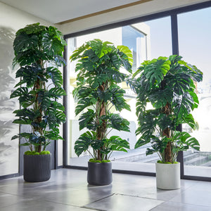 Künstlicher Split-Philodendron - Zephira, 160 cm, Kunstpflanze von aplanta, inkl. Startertopf, in Grün, für drinnen
