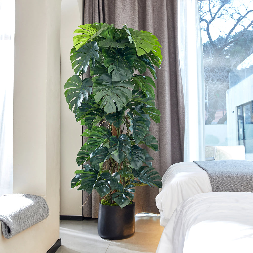 Künstlicher Split-Philodendron - Zephira, 190 cm, Kunstpflanze von aplanta, mit Echtholzstamm, in Grün, für drinnen