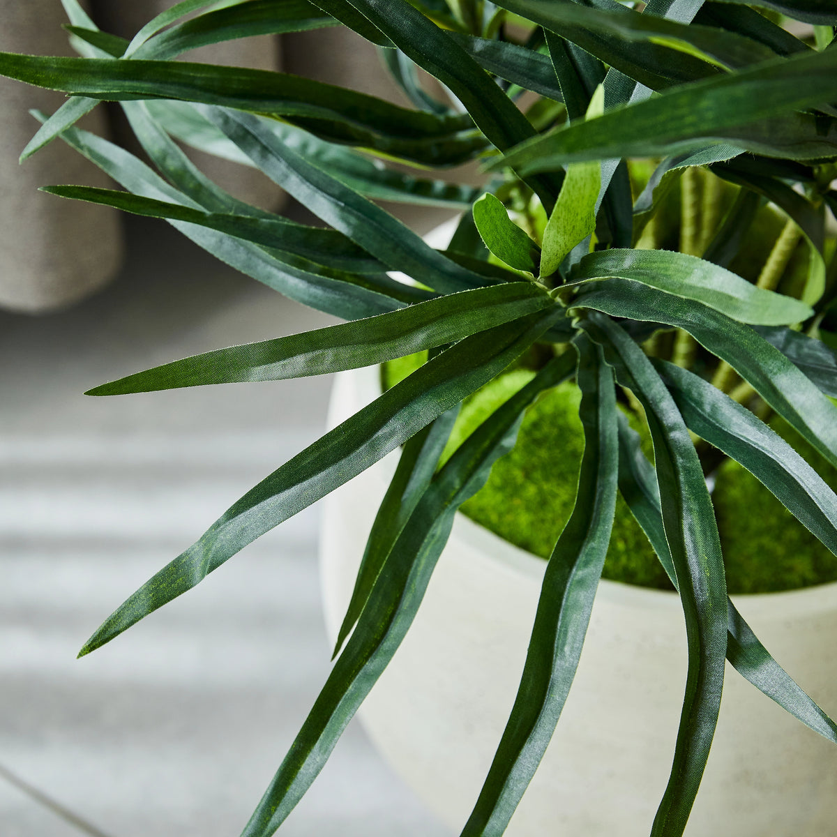 Künstliche Dracaena Reflexa - Orielle, 70 cm, Kunstpflanze von aplanta, inkl. Startertopf, in Grün, für drinnen