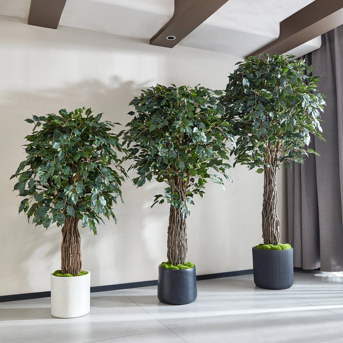 Künstlicher Ficus - Amadior, 180 cm, Kunstbaum von aplanta, mit Echtholzstamm, UV-beständig, inkl. Startertopf, in Grün