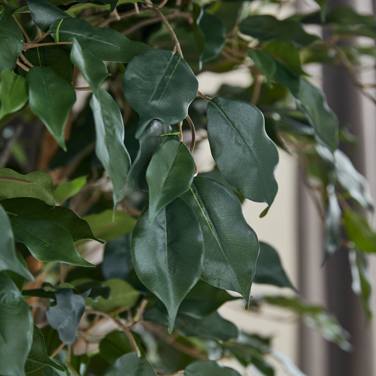 Künstlicher Ficus - Amadior, 210 cm, Kunstbaum von aplanta, mit Echtholzstamm, UV-beständig, in Grün, für drinnen