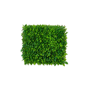 Flexible Pothos Pflanzenwand - Melvin | 130-200 cm