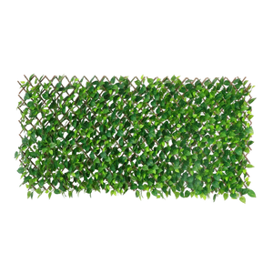 Flexible Pothos Pflanzenwand - Melvin | 130-200 cm
