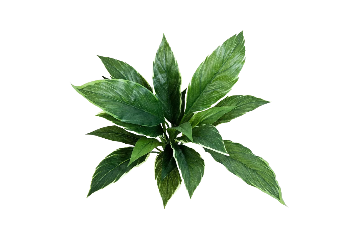 Künstliche Cordyline - Phil, 30 cm, Kunstpflanze von aplanta, Steckpflanze, in Natur, für drinnen