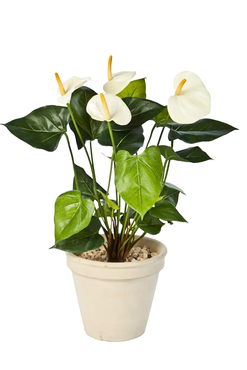Künstliche Flamingoblume - Steckpflanze - Nora, 56 cm, Kunstpflanze von aplanta, in Creme, für drinnen