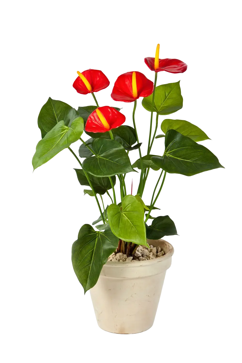 Künstliche Flamingoblume - Steckpflanze - Nara, 56 cm, Kunstpflanze von aplanta, in Rot, für drinnen