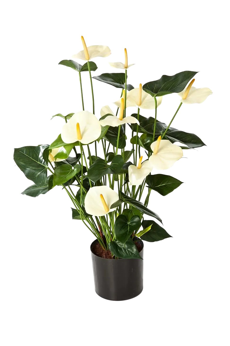 Künstliche Flamingoblume - Zenta, 78 cm, Kunstpflanze von aplanta, in Creme, für drinnen