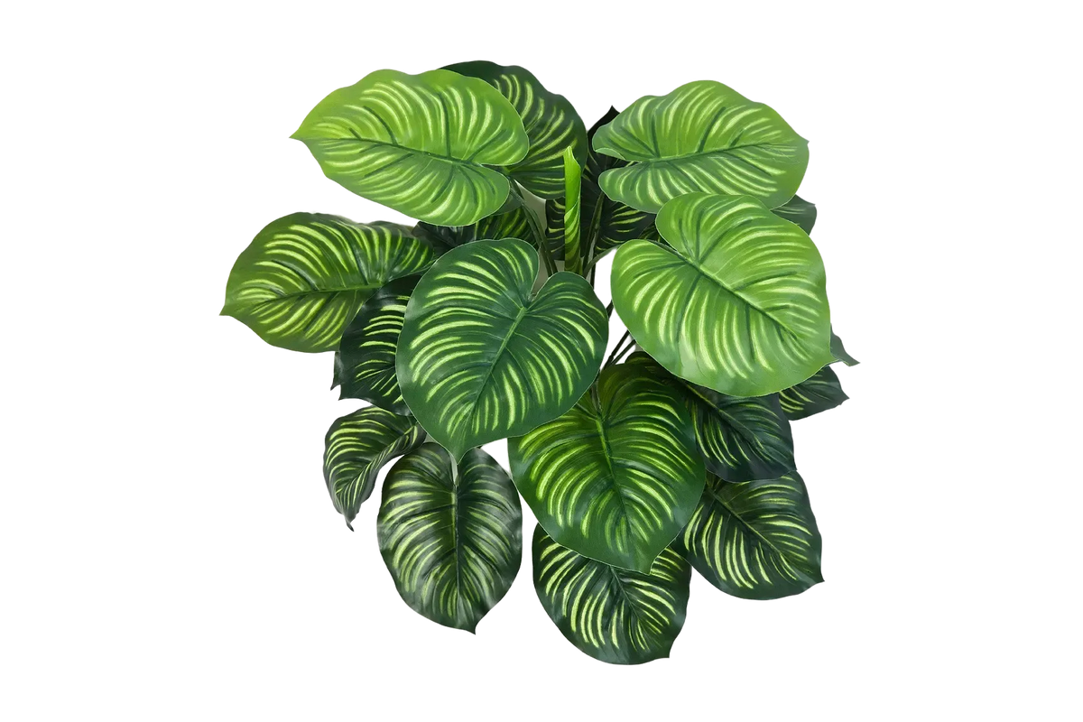 Künstliche Calathea - Clara, 45 cm, Kunstpflanze von aplanta, Steckpflanze, in Natur, für drinnen