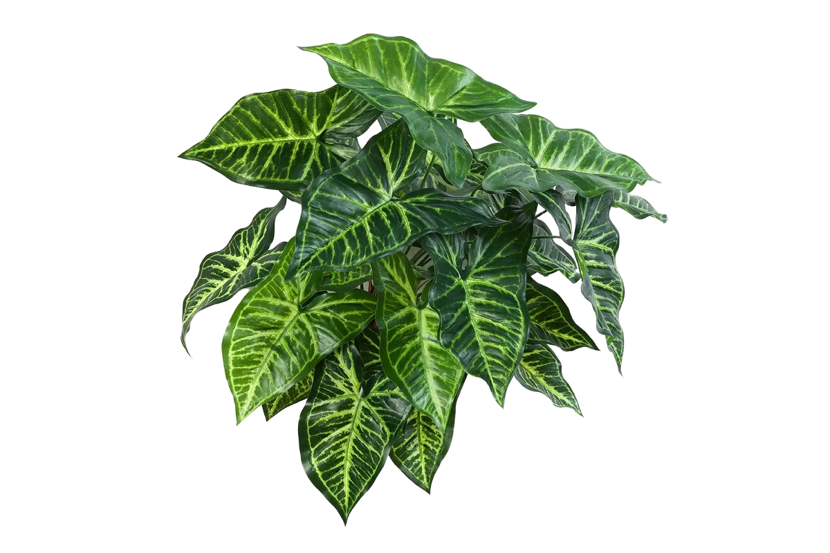 Künstliche Syngonium - Kalle, 45 cm, Kunstpflanze von aplanta, Steckpflanze, in Natur, für drinnen