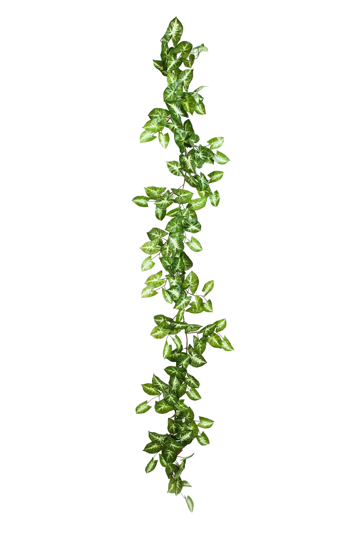 Künstliche Nephthytis Girlande - Annabell, 180 cm, Kunstpflanze von aplanta, in Natur, für drinnen