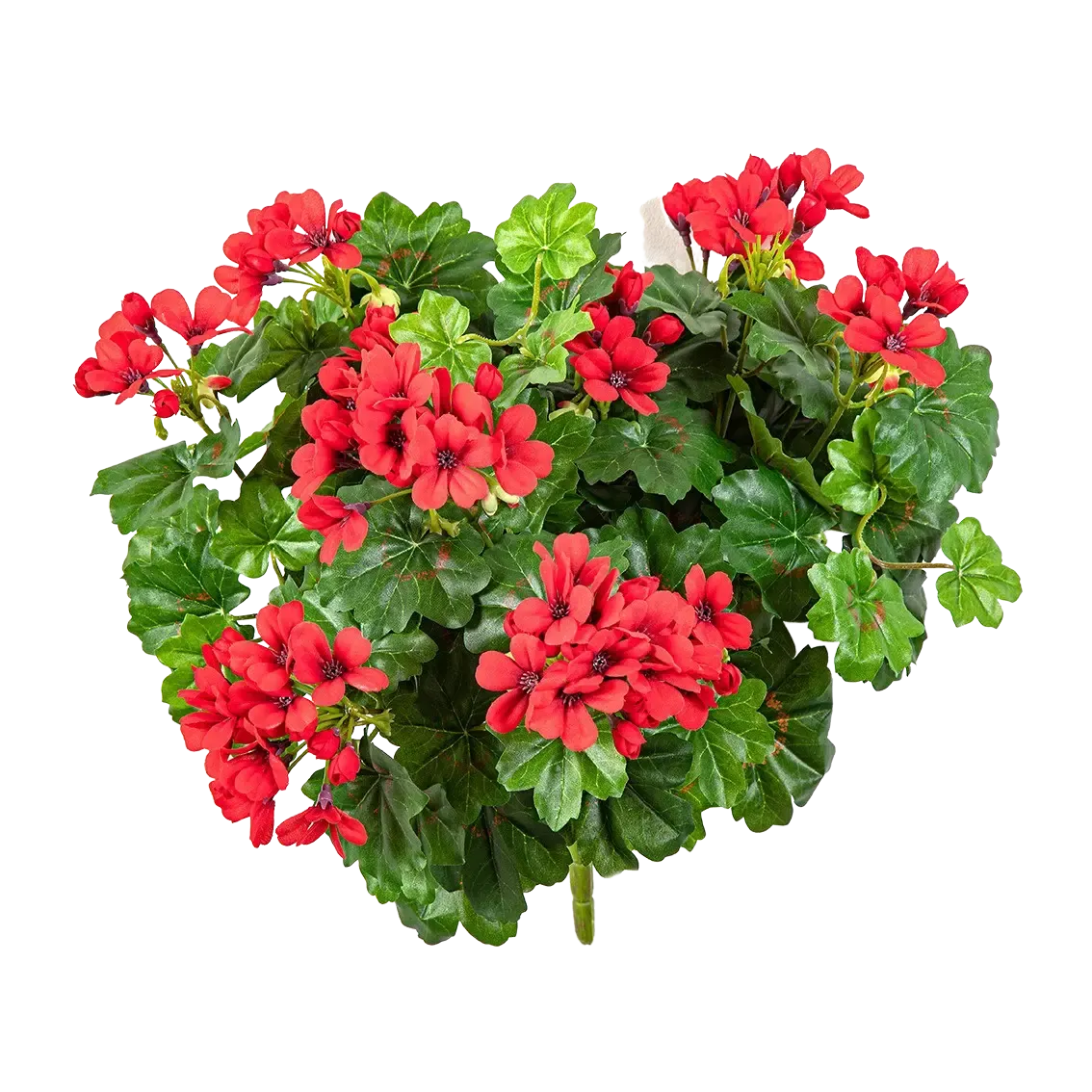 Künstliche Geranie - Aaron, 35 cm, Kunstpflanze von aplanta, Steckpflanze, in Natur, für drinnen