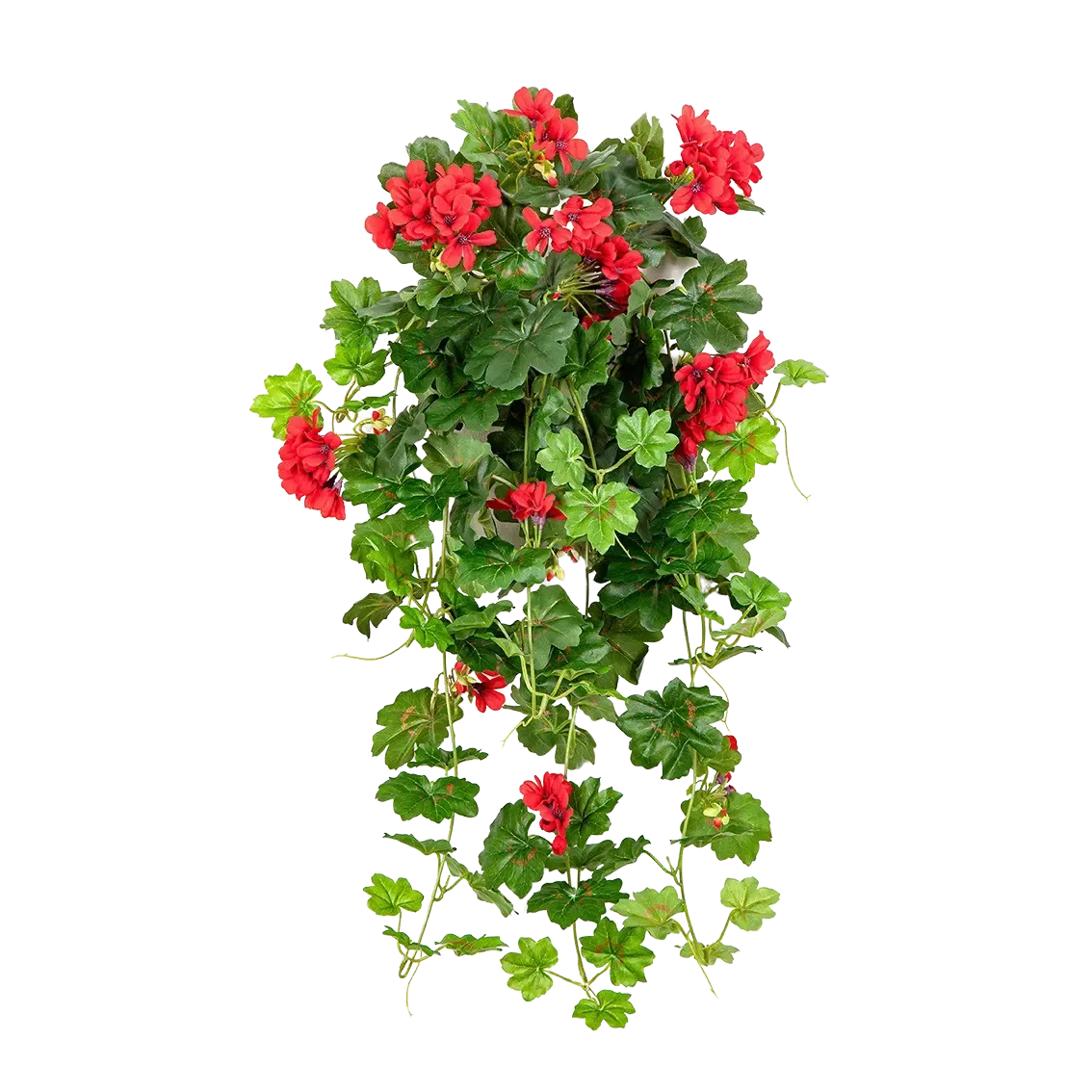 Künstliche Hänge-Geranie - Alessio, 72 cm, Kunstpflanze von aplanta, Steckpflanze, in Rot, für drinnen