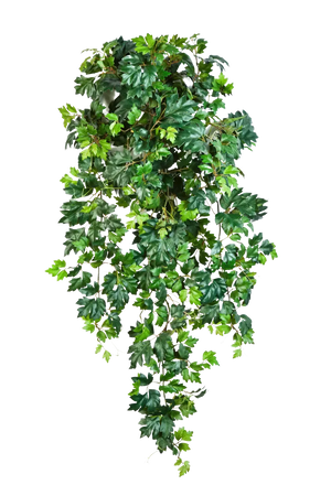 Künstliche Hänge-Weinrebe - Artur, 90 cm, Kunstpflanze von aplanta, Steckpflanze, in Natur, für drinnen