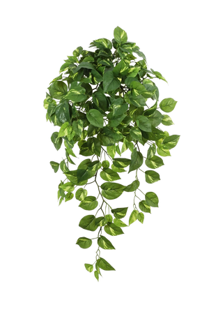 Künstlicher Hänge-Pothos - Bella, 85 cm, Kunstpflanze von aplanta, Steckpflanze, in Natur, für drinnen