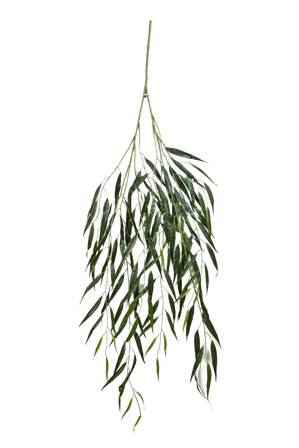 Künstlicher Weide Zweig - Bastian, 134 cm, Kunstpflanze von aplanta, Steckpflanze, in Natur, für drinnen