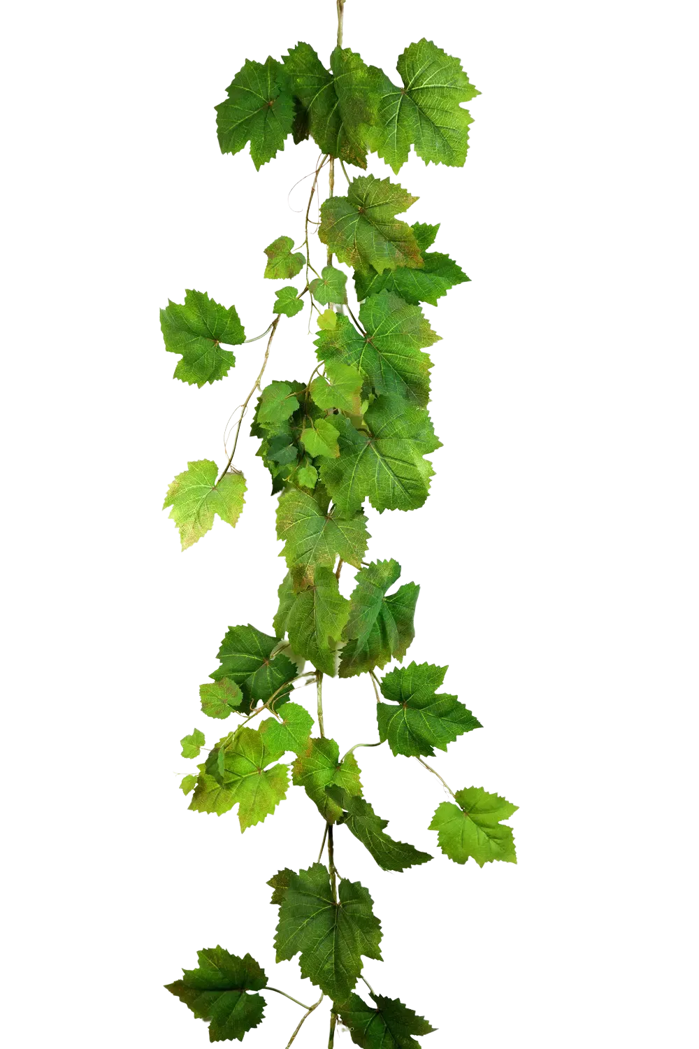 Künstliche Weinreben Girlande - Bela, 180 cm, Kunstpflanze von aplanta, Steckpflanze, in Natur, für drinnen