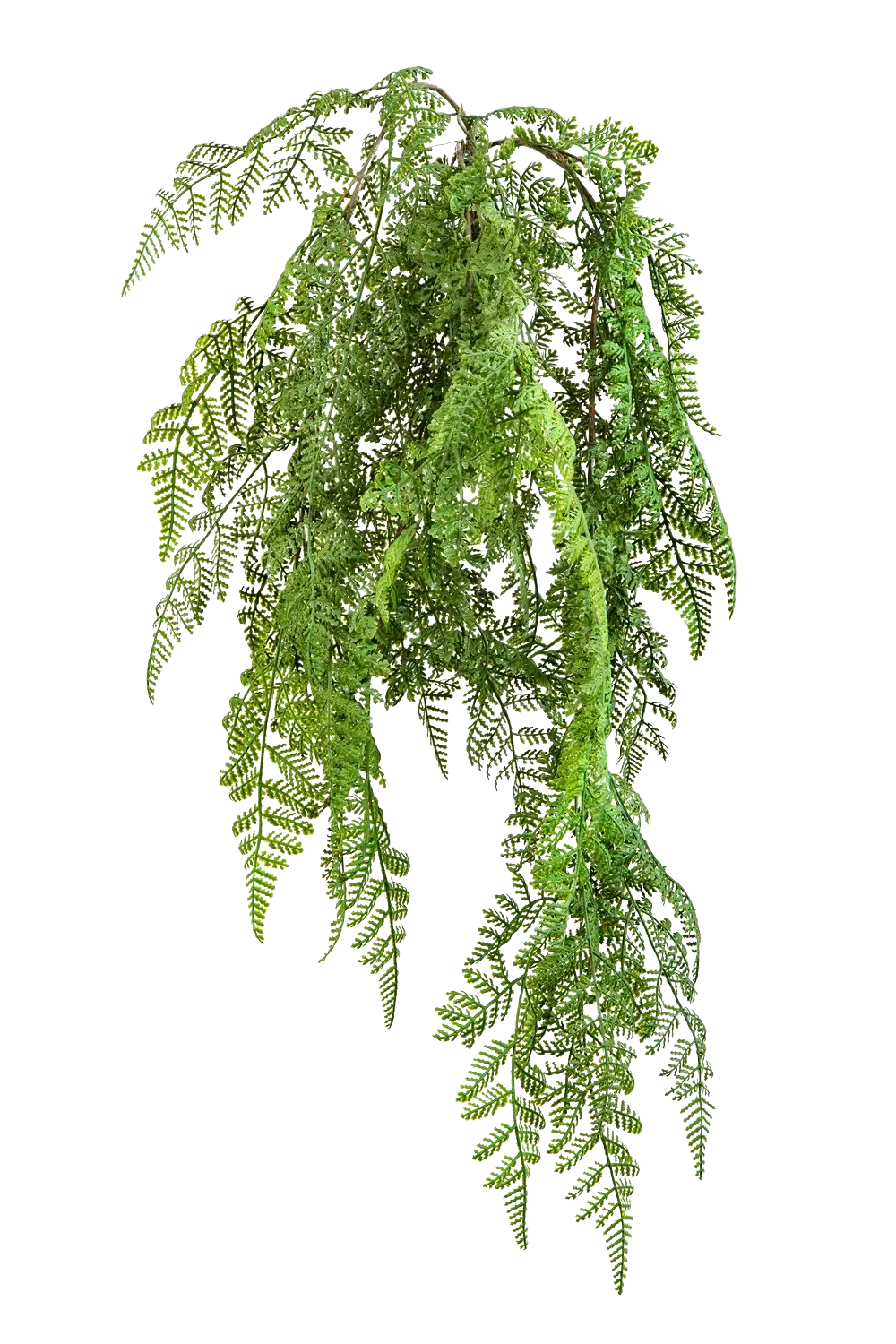 Künstlicher Hänge-Wurmfarn - Bennett, 60 cm, Kunstpflanze von aplanta, Steckpflanze, in Natur, für drinnen