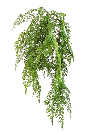 Künstlicher Hänge-Wurmfarn - Bennett, 60 cm, Kunstpflanze von aplanta, Steckpflanze, in Natur, für drinnen