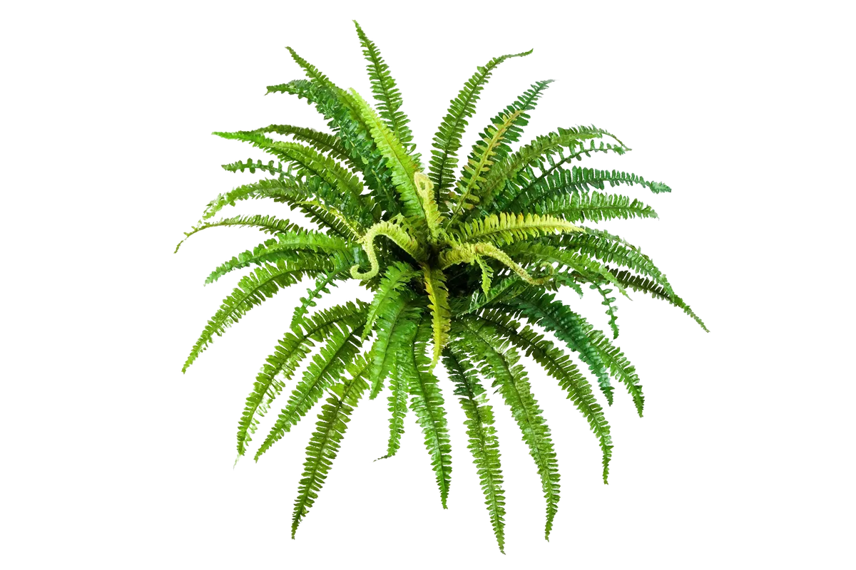 Künstlicher Frauenfarn - Bryan, 45 cm, Kunstpflanze von aplanta, Steckpflanze, in Natur, für drinnen