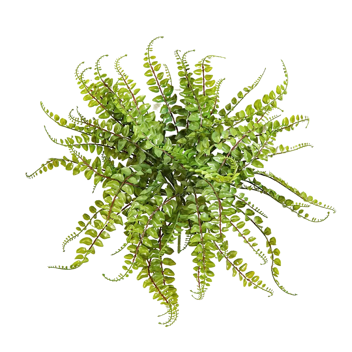 Künstlicher Streifenfarn - Carolina, 40 cm, Kunstpflanze von aplanta, Steckpflanze, in Natur, für drinnen