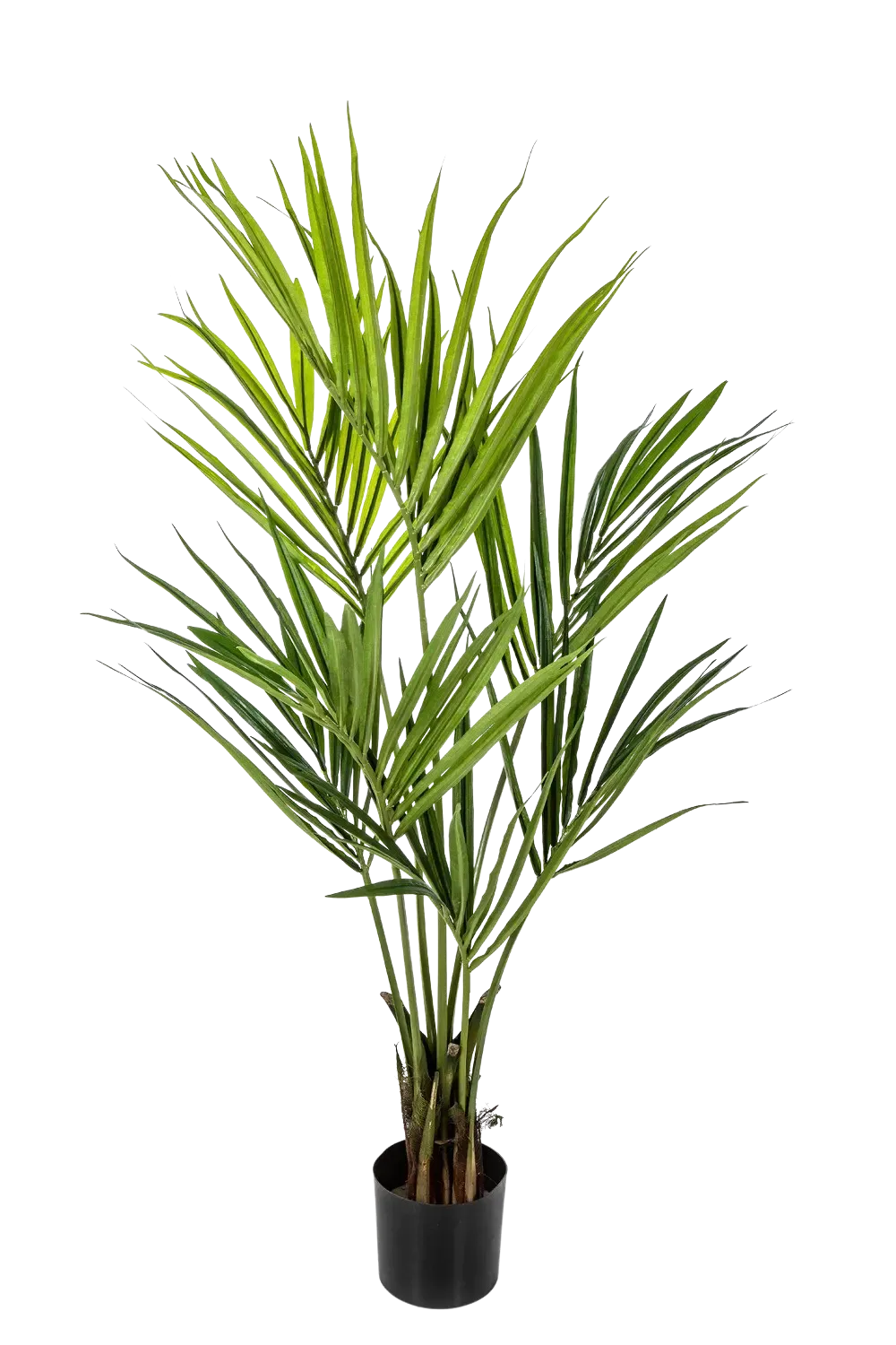 Künstliche Kentia Palme - Cataleya, 140 cm, Kunstbaum von aplanta, in Natur, für drinnen