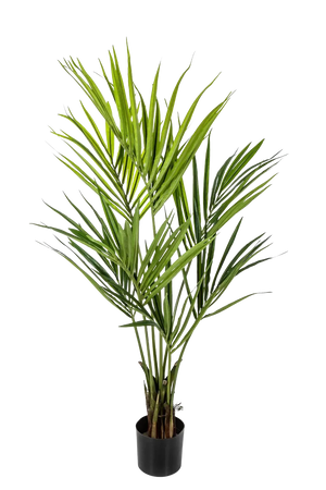 Künstliche Kentia Palme - Cataleya, 140 cm, Kunstbaum von aplanta, in Natur, für drinnen