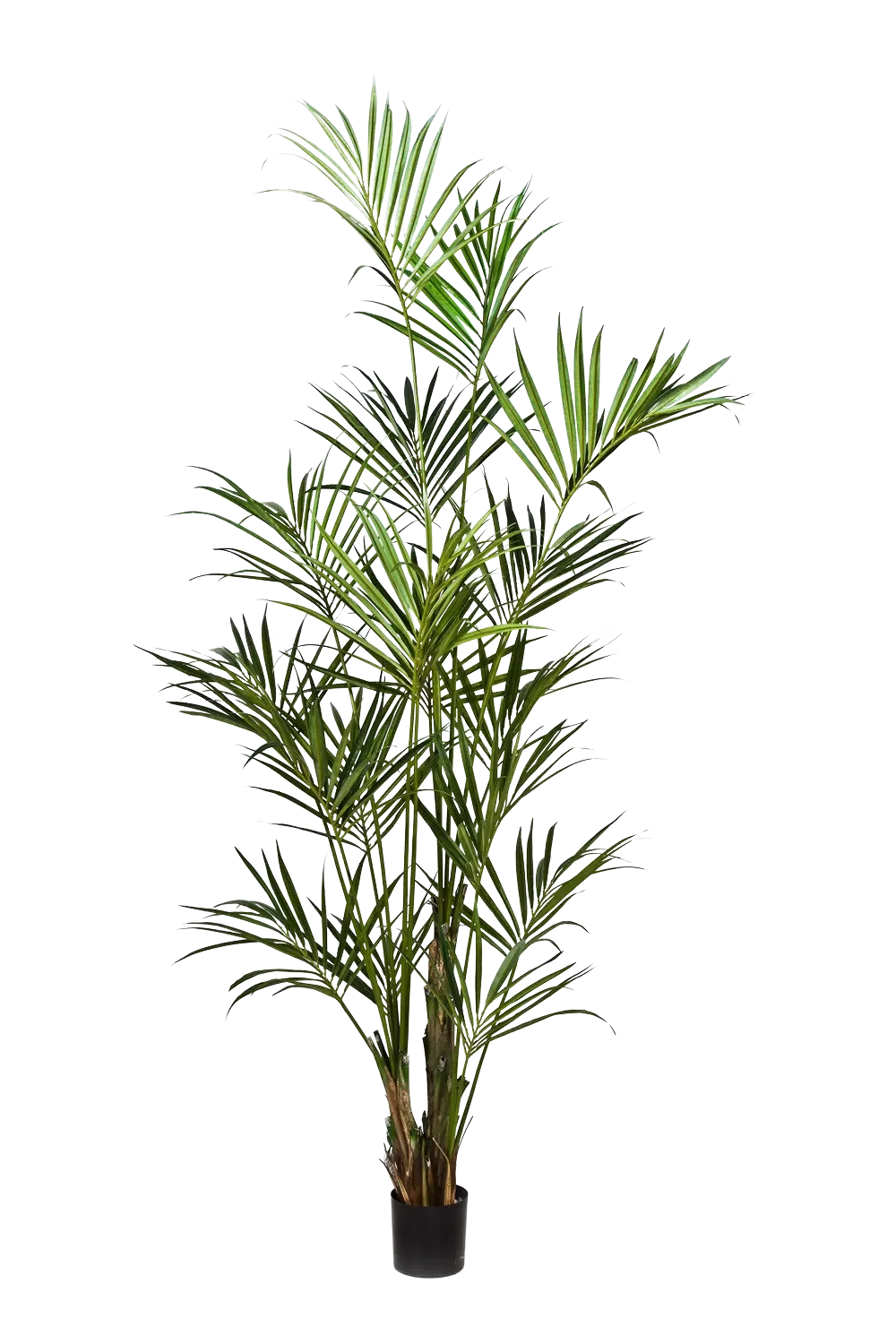 Künstliche Kentia Palme - Cataleya, 260 cm, Kunstbaum von aplanta, in Natur, für drinnen
