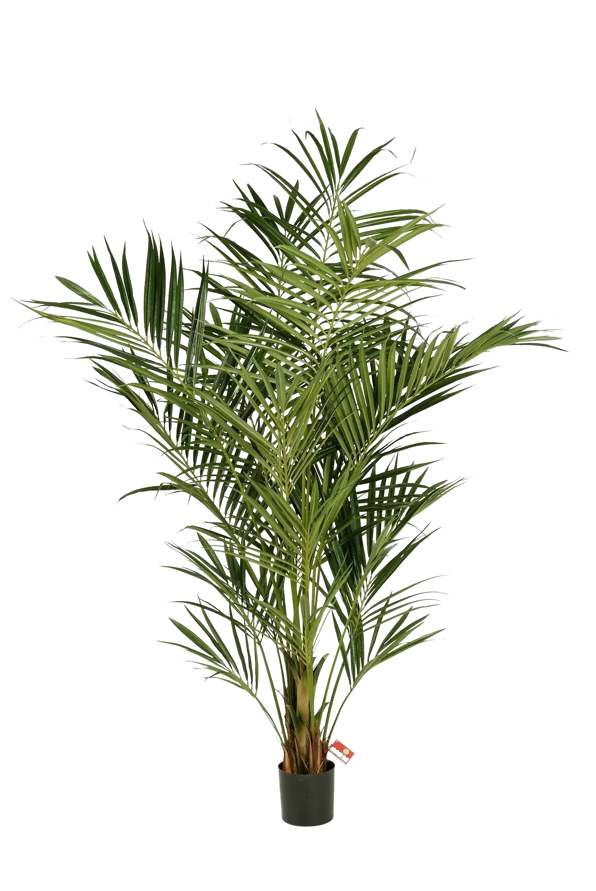 Künstliche Kentia Palme - Cecilia, 225 cm, Kunstbaum von aplanta, in Natur, für drinnen