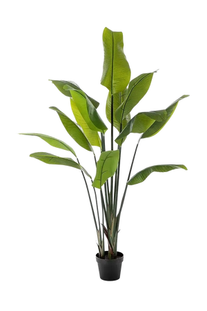 Künstliche Strelitzia - Clemens, 150 cm, Kunstbaum von aplanta, in Natur, für drinnen