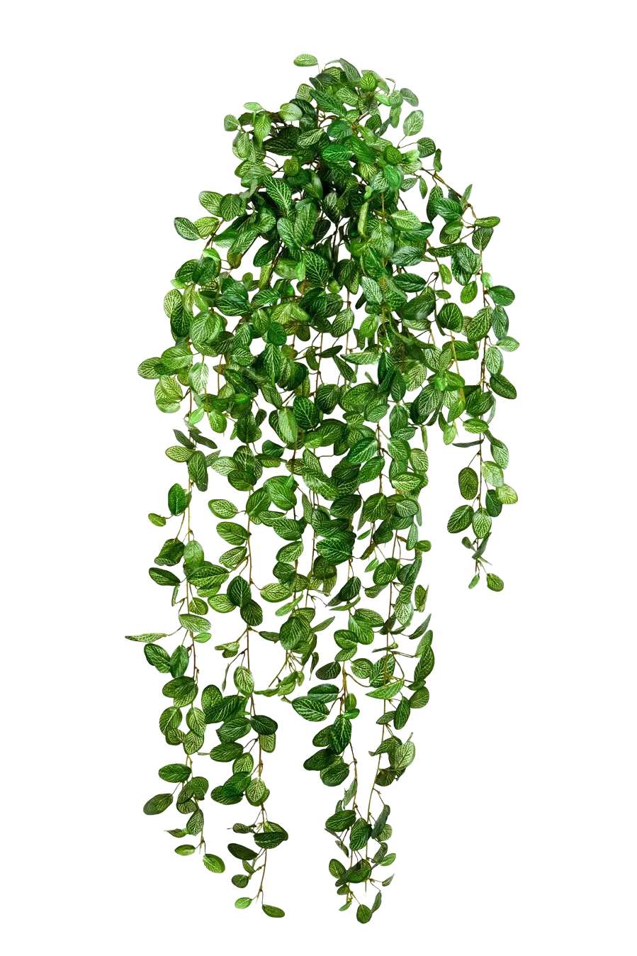 Künstliche Hänge-Fittonia - Freya, 85 cm, Kunstpflanze von aplanta, Steckpflanze, in Natur, für drinnen