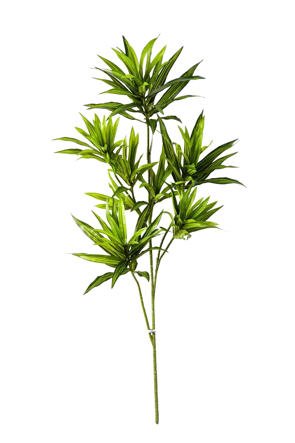 Künstlicher Drachenbaum-Zweig - Gian, 70 cm, Kunstpflanze von aplanta, Steckpflanze, in Natur, für drinnen