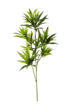 Künstlicher Drachenbaum-Zweig - Gian, 70 cm, Kunstpflanze von aplanta, Steckpflanze, in Natur, für drinnen