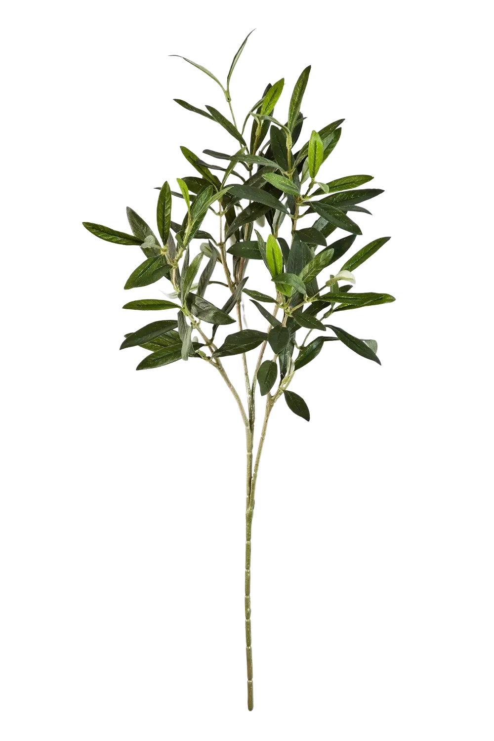 Künstlicher Olivenbaum-Zweig - Gero, 50 cm, Kunstpflanze von aplanta, Steckpflanze, in Natur, für drinnen