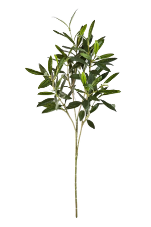 Künstlicher Olivenbaum-Zweig - Gero, 50 cm, Kunstpflanze von aplanta, Steckpflanze, in Natur, für drinnen